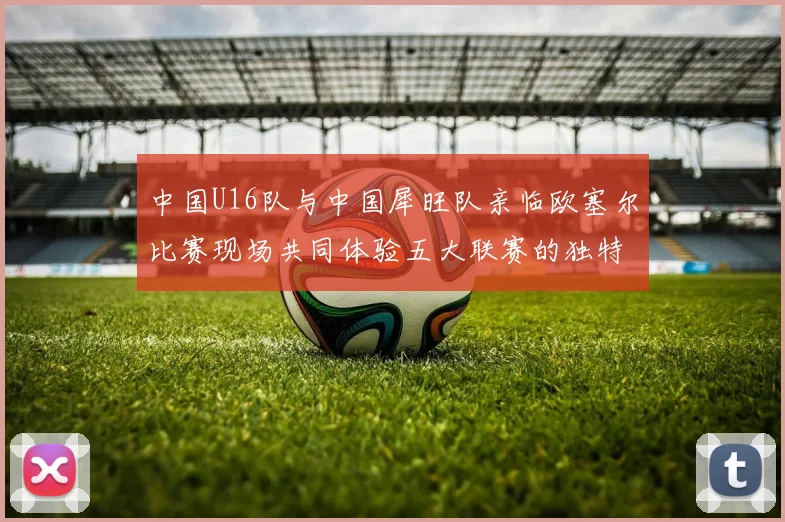 中国U16队与中国犀旺队亲临欧塞尔比赛现场共同体验五大联赛的独特魅力