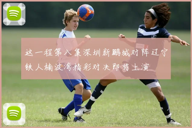 这一程第八集深圳新鹏城对阵辽宁铁人楠波湾精彩对决即将上演